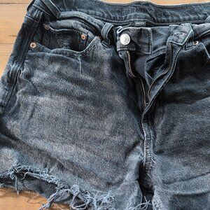 American Eagle Shorts size 8